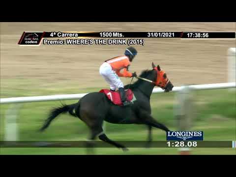 210131 c04 EL ENTRADOR