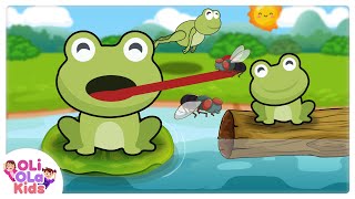 Download lagu Ada Kodok rekotok rekotok - Lagu Anak Indonesia | Oli Ola Kids mp3