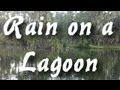 Sleep and Nature Sounds: Relaxing Rain on ...