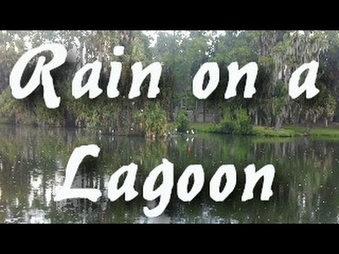 Sleep and Nature Sounds: Relaxing Rain on Lagoon 2 Hrs Long