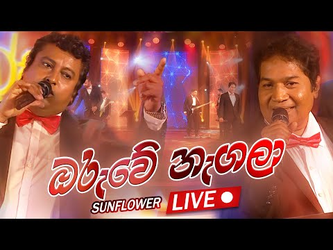ඔරුවේ නැගලා | Sunflowers LIVE | FM Derana 12th Anniversary Show