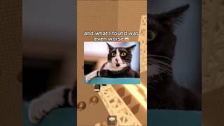 Download lagu Sarah's Tycoon Got Darker😨 #roblox #robloxshorts #robloxrant mp3