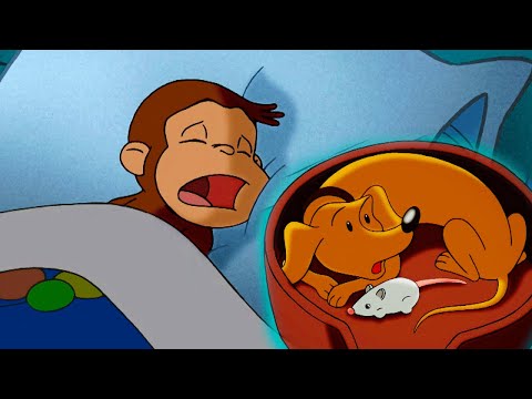 Coco der Neugierige Affe | Coco und Hundley haben ihre erste Übernachtung | Cartoons für Kinder