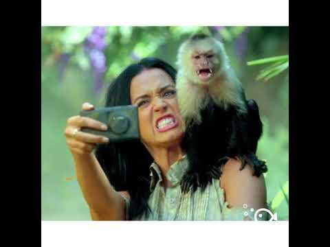 Mundo Digital (Digital World) 2017, comedian Alexis Anda Mea Culpa