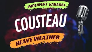 Cousteau - Heavy Weather (karaoke)