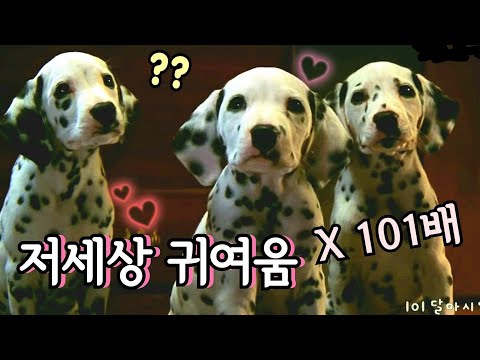 심쿵주의💕 101 달마시안 | 영화리뷰 결말포함