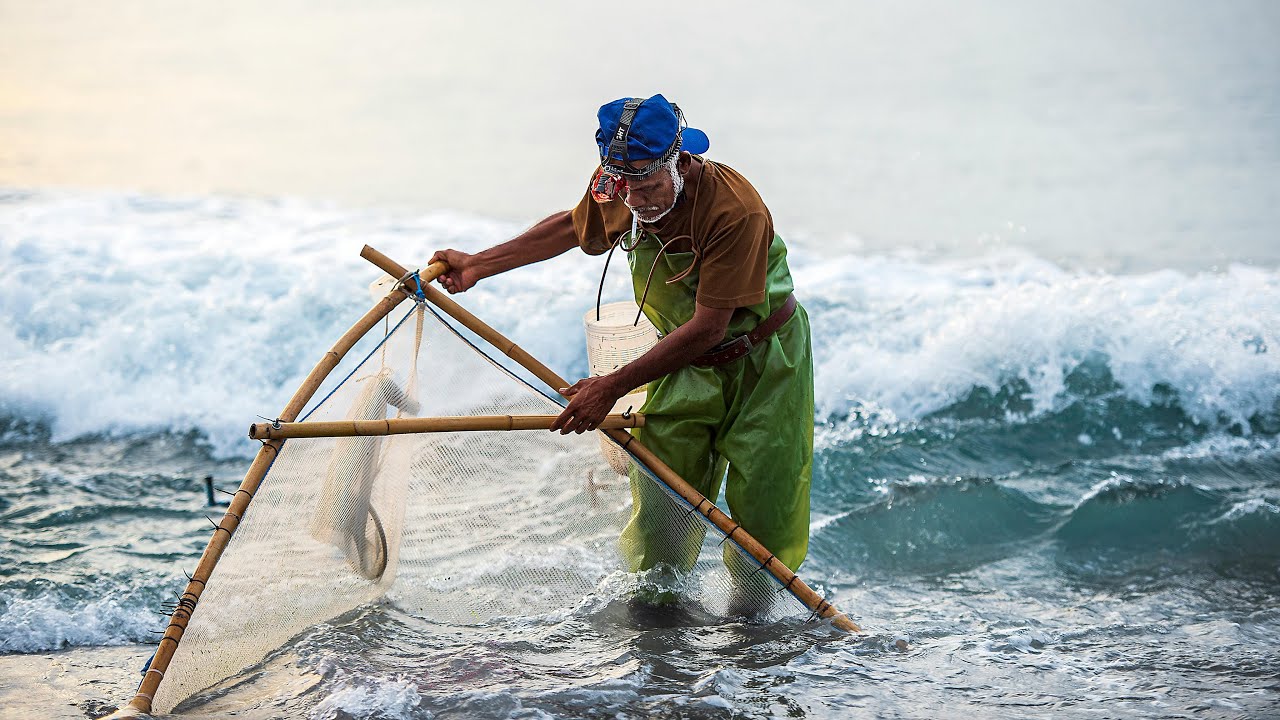 As non-plastic substitutes for conserving the blue planet