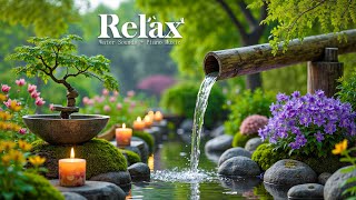 Healing of the Mind 🌿 Bamboo Water Sounds & Relaxing Music, Anxiety Relief
