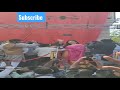 Mehreen Pirzada Actress Chandana Shopping Mall Zaheerabad 5 February 2023