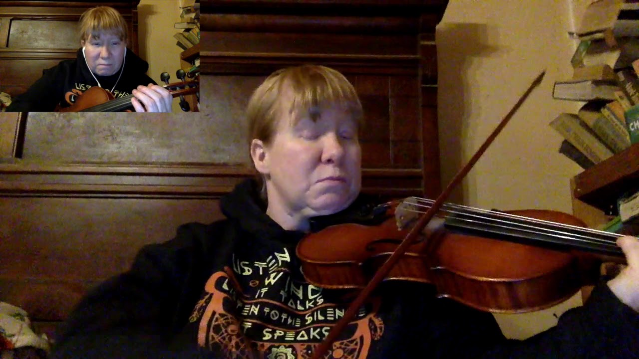 Promotional video thumbnail 5 for Moira Levant, Violinist and Fiddler