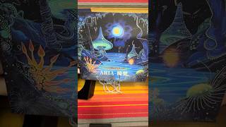 Gorgeous Packaging- CVJ Aria Unboxing #chifi #unboxing #iem