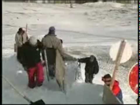 Mr. Dynaboom - Extreme