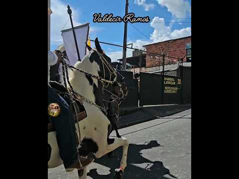 cavalaria em Guará sp