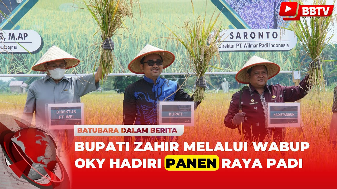 BUPATI ZAHIR MELALUI WABUP OKY HADIRI PANEN RAYA PADI