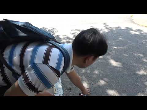 엘리오로 만든 RC카 작품
