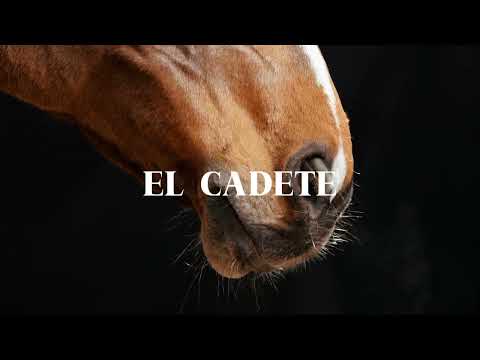 Grupo Laberinto - El Cadete (Video Oficial)