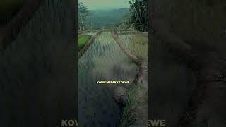 Download lagu ra ngurus gengsi'an mp3 Download lagu ra ngurus gengsi'an mp3