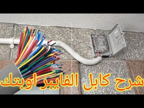 Click here to view on youtube