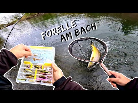 Ich fange einen Traumfisch 😍 | Bachforellen Angeln am Bach