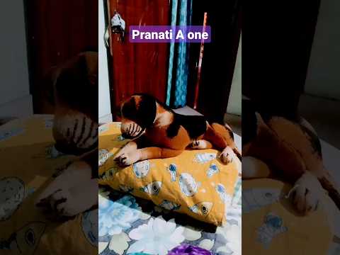 #Pranati A one#my first Short vedeo#please subscribe my channel