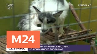 Десятки животных остались запертыми без воды и еды на юге Москвы