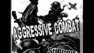 Aggressive Combat - Anybody Cares About You