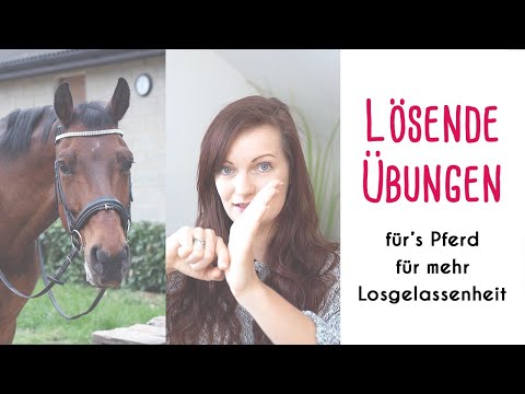 Relaxation - With these exercises you can relax your horse!