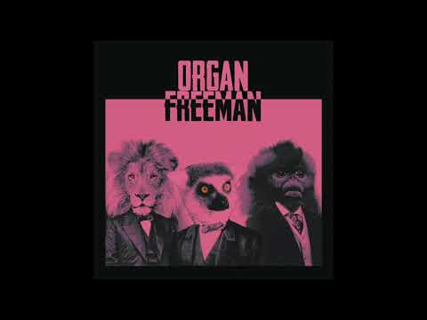 Organ Freeman - Verve