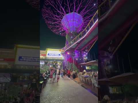 O Shopping Mais Diferente de Caldas Novas! 😱🇸🇬 | Singapura Shopping