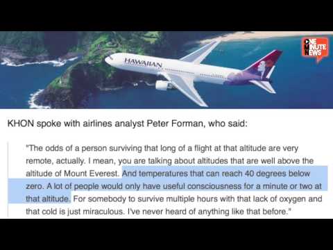 Teen Stowaway Survives Flight To Hawaii In Jet Wheel Well