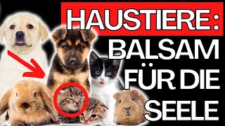 Warum Haustiere gut sind für die Psyche (das geht ans Herz!)