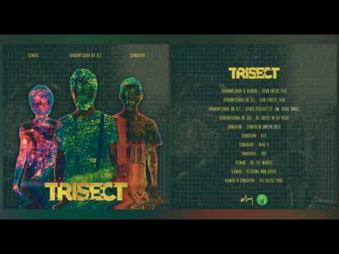 Armonycoma or slt - Stors Pâdure('11) w. Utku Tavil