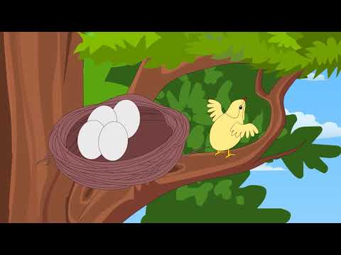 Animated Poem | चिड़िया का गीत - Bird’s song