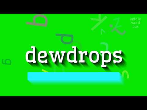 HOW TO PRONOUNCE DEWDROPS? #dewdrops