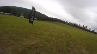 Free Fly at Flying Circus