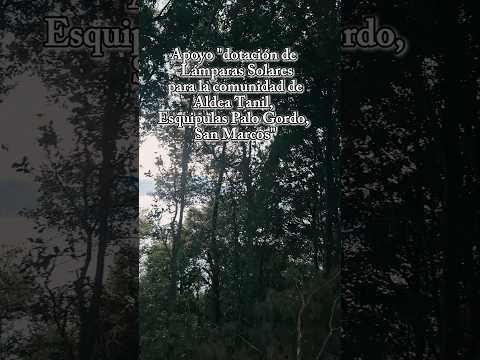 Energía solar por conservar ☀️🌲