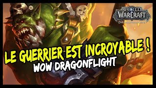 COUP D'OEIL SUR LE GUERRIER À DRAGONFLIGHT !