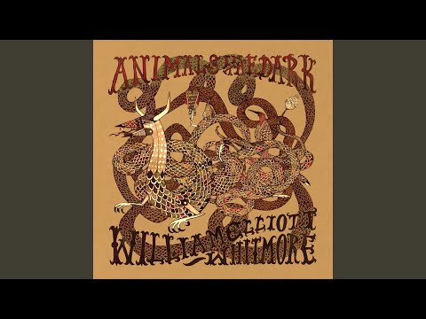 Johnny Law - William Elliott Whitmore