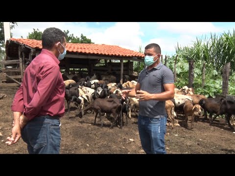 Agricultores familiares ampliam produtividade com assistência do SEBRAE em Campo Maior 26 03 2022