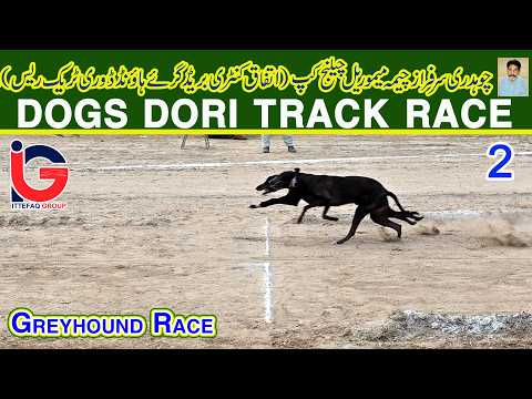 Dori Track Race || Ch. Sarfaraz (M) Challenge Cup 2026 || 2nd Round || 10-02-26 #dog #viral #fyp