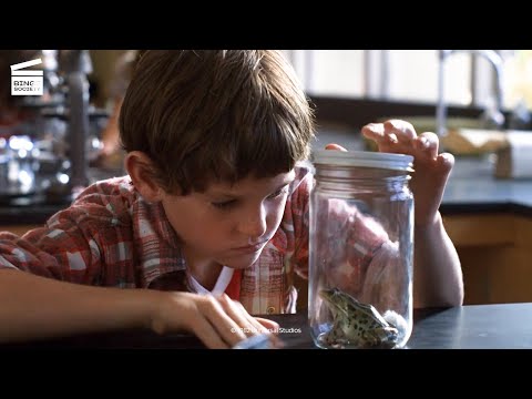 E.T., The Extra-Terrestrial: Getting drunk