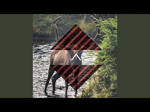download lagu mp3 mp4 Able Somniloquy, download mp3 Able Somniloquy free download mp3, download mp3 Able Somniloquy