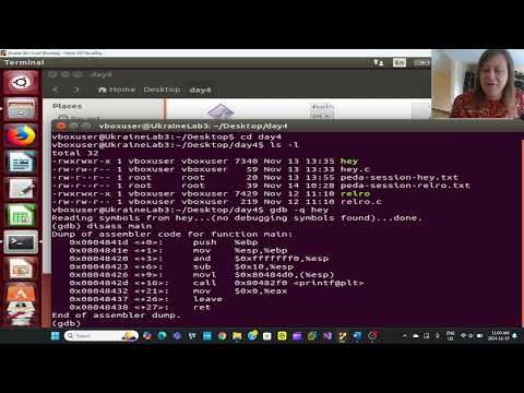 How functions inside a binary use Procedure linkage table and global offset table. RELRO exploits!!