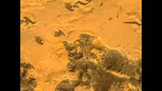 Brian McKnight Shoulda Been Lovin&#39; You