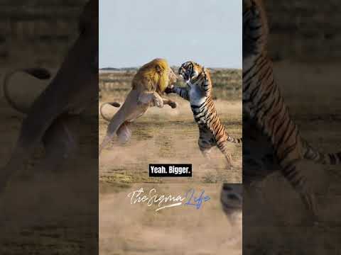 âž¤ Animal 3gp King â¤ï¸ Video.Kingxxx.Pro