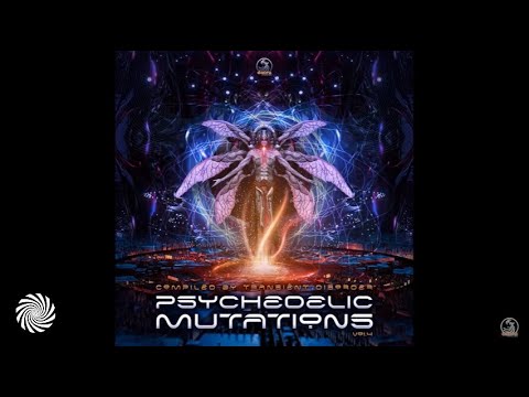 Transient Disorder - Endless Spiral (West Galaxy Remix)