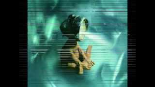 "Chaga" Ornatos Violeta