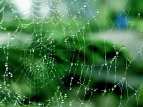 Mưa huyền thoại - Diệu Hiền