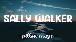 Sally Walker - Iggy Azalea (Lyrics) 🎵