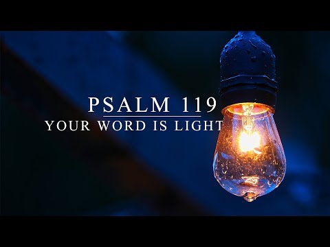 Psalm 119:113-128